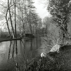 Au bord de l'Eure