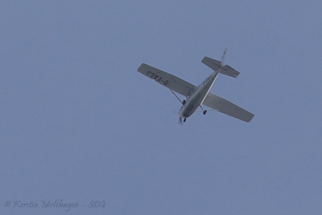 Flugzeug über der Wilhelma