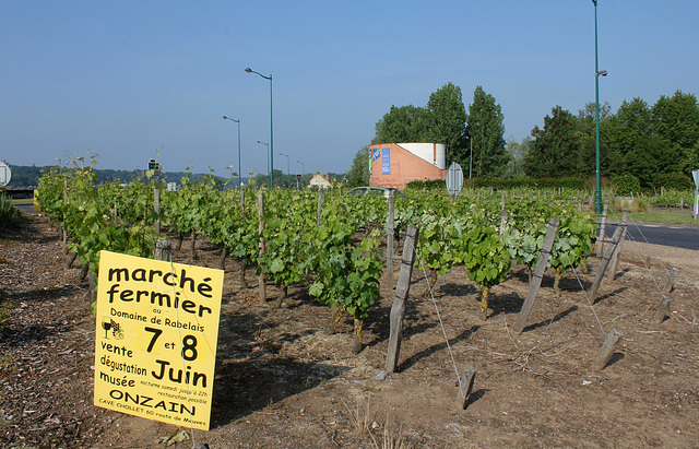 vigne du rond-point , côté nord