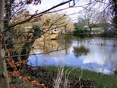 River Wey in flood at Tilford bridge