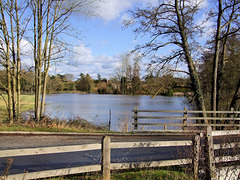 River Wey in flood at Tilford