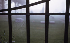 cemetery gate