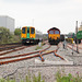 Southern Railway 313201 & EWS 66069 at Day's siding - Newhaven - 21.5.2014