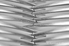 Abstract Tines Still Life High Key 040114