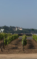 Vigne du rond-point devant le pont sur la loire entre Onzain et Chaumont- vue sur Château de Chaumont sur Loire de l'autre côté de la Loire