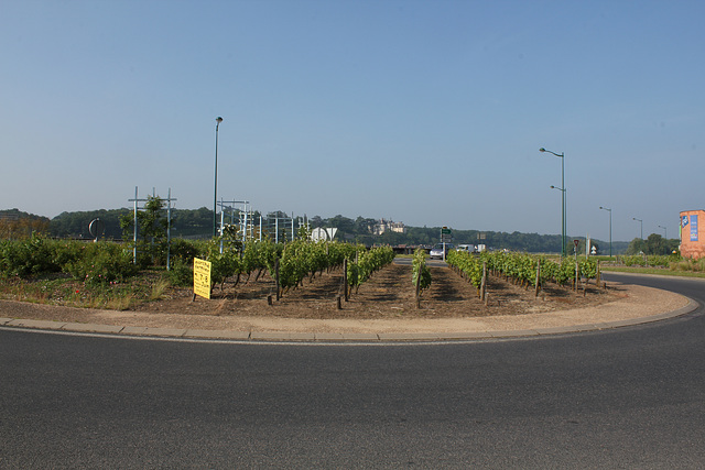 Vigne du rond-point