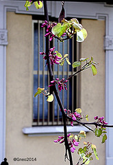 ...fuori è primavera...