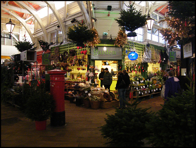 Christmas trees for sale