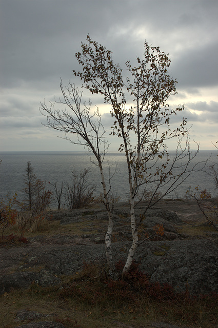 Sunday morning, Palisade Head