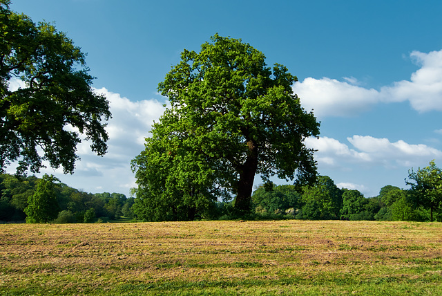 baum-1180790-co-16-05-14