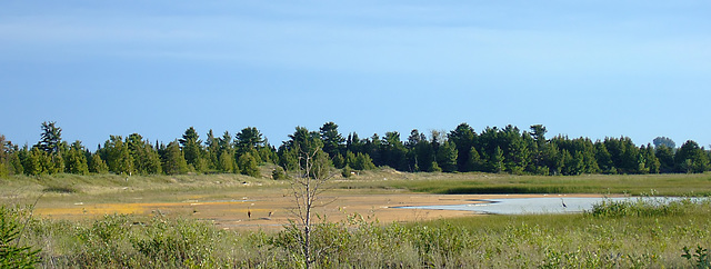 Cheboygan Point