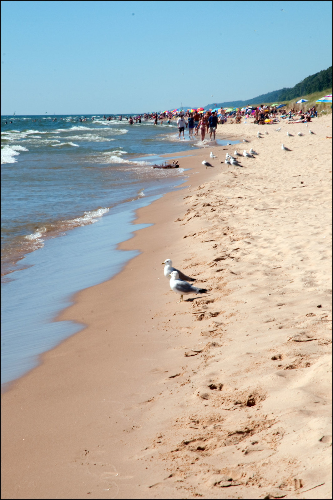We Weren't Alone on the Beach
