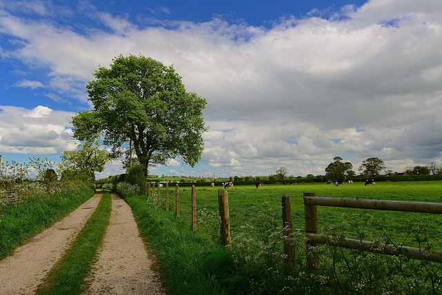 Mayo Farm, Haughton