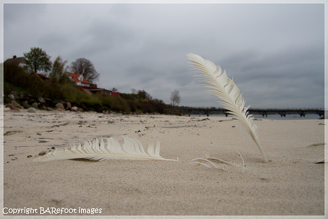 am strand von arnager