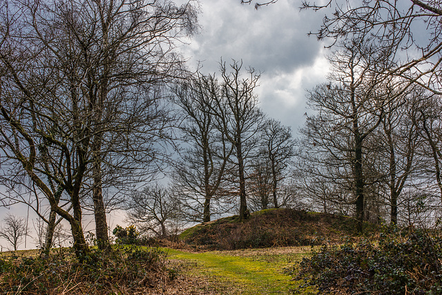 Spaziergang bei Buckfast - 20140326