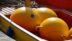 Quays in colour....Royal Quays Marina