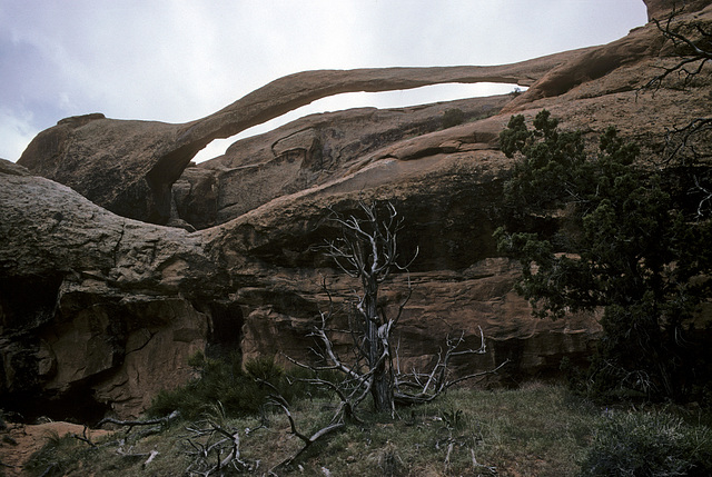 Landscape Arch