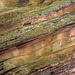 Utah rock layers