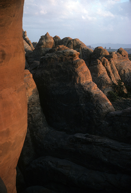 Arches