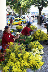 Funchal. Mercado dos Lavradores. Blumenfrauen am Eingang. ©UdoSm