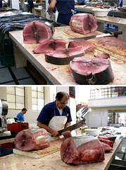 Funchal. Mercado dos Lavradores.  Thunfisch. ©UdoSm