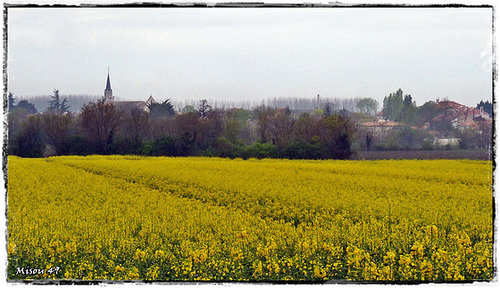 VENDEE