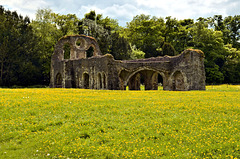 Ruins of Waverley Abbey - Lay Brothers Refectory