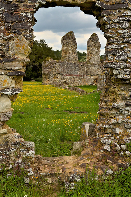 Waverley Abbey ruins 2014