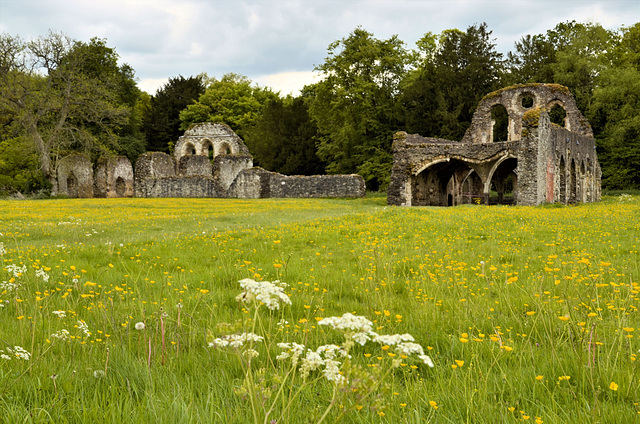 Waverley Abbey ruins 2014