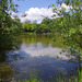 Parc aux oiseaux - Villars les Dombes