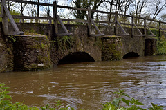 Eashing Bridge with River Wey in flood