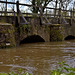Eashing Bridge with River Wey in flood