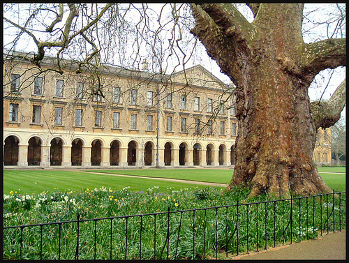 Magdalen plane & New Building