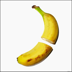 cut banana 2 inspired by Andy Warhol
