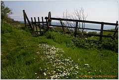 an der südküste bei risebæk