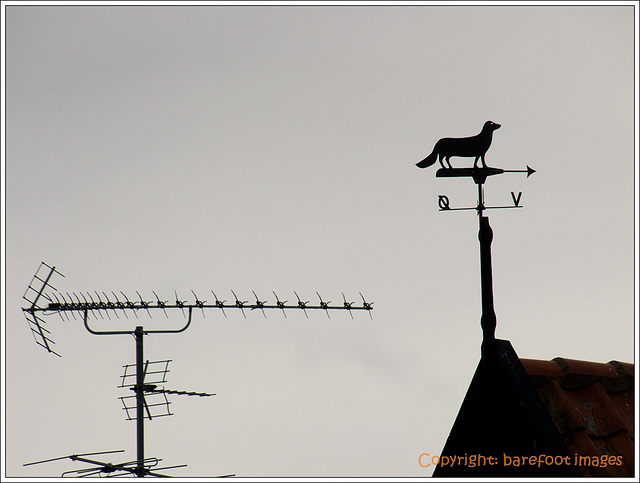 aerial & weather vane