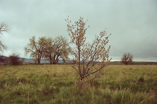 along south teller lake trail