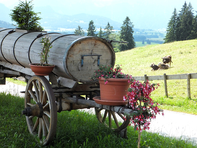 Allgäuer Siesta... ©UdoSm