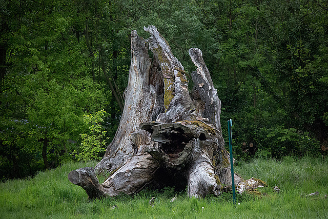 20140504 2671VRTw [D~HVL] Park, Schloss Nennhausen, Nennhausen