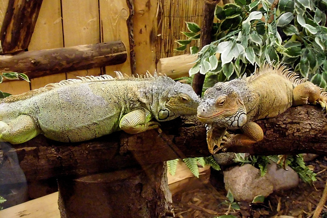 Tierpark Lüneburg