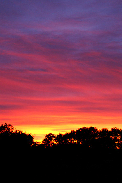 Portrait Sunset