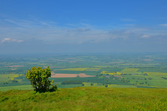 Looking north from the Wrekin, Shropshire