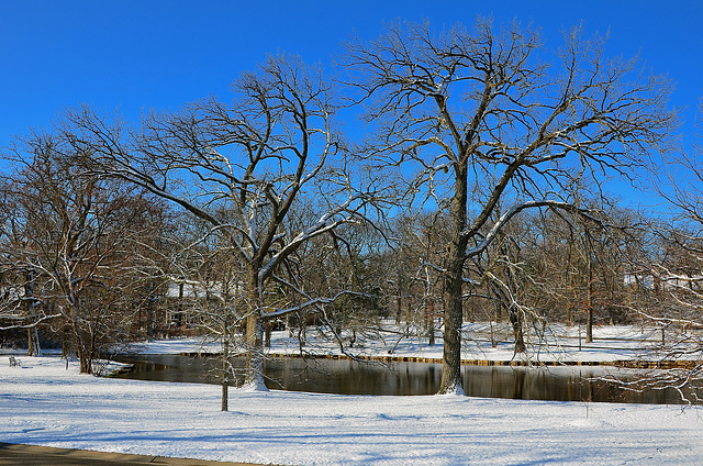 Tangley Oaks.