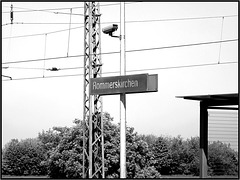 Rommerskirchen, Rhein-Kreis Neuss 010