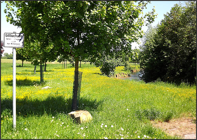 Rommerskirchen, Rhein-Kreis Neuss 031