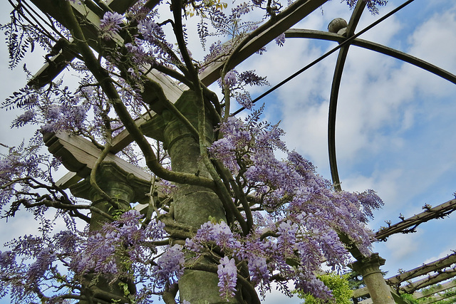 west dean park, sussex