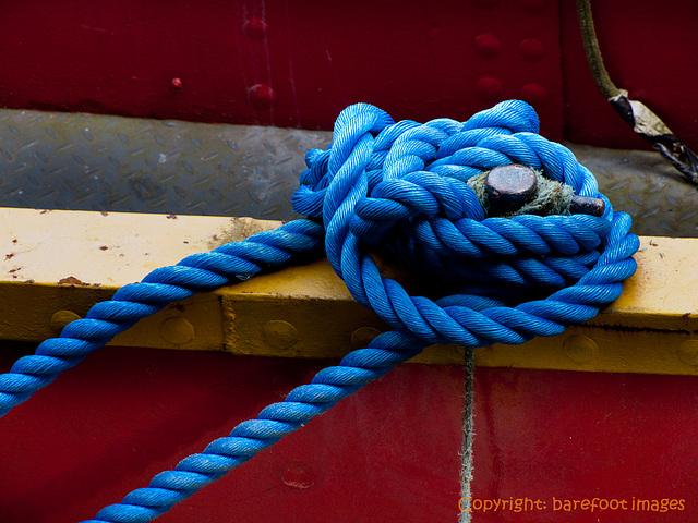 blue knot