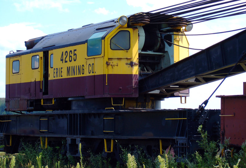 Crane in the Weeds