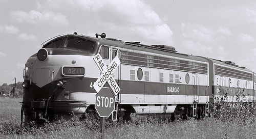 4211 & companions