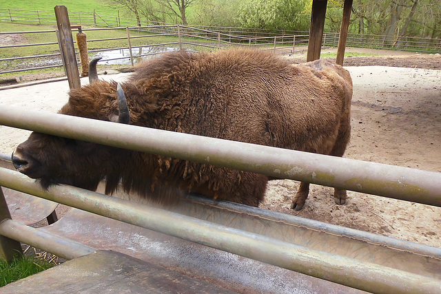 Tierpark Lüneburg